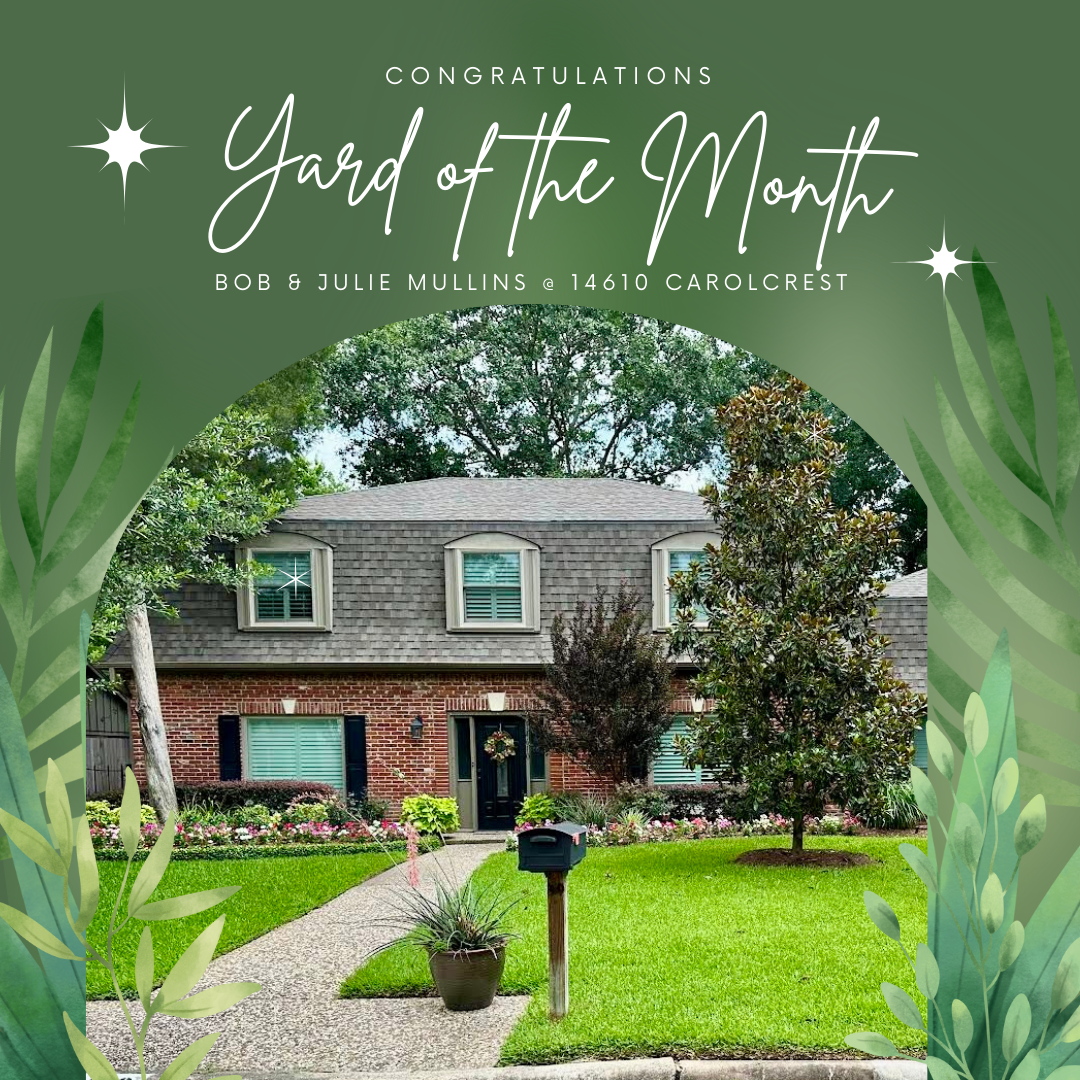 Yard of the Month (10)